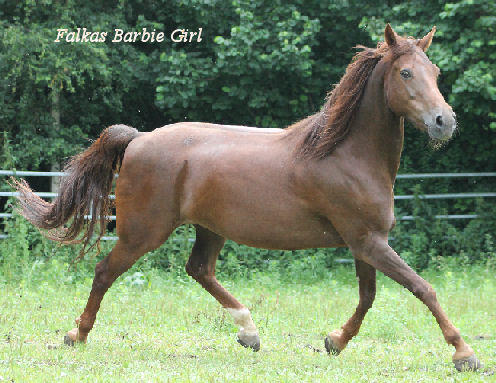 Barbie 2012.kl.
