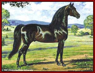 MorganFigure