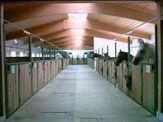 Stallgasse2_1