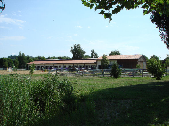 Wegweiser im Reitzentrum Lauterbach